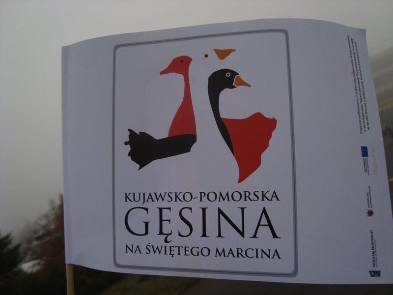 Gęsina